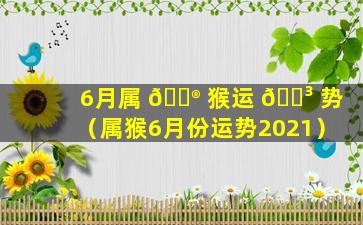 6月属 💮 猴运 🌳 势（属猴6月份运势2021）